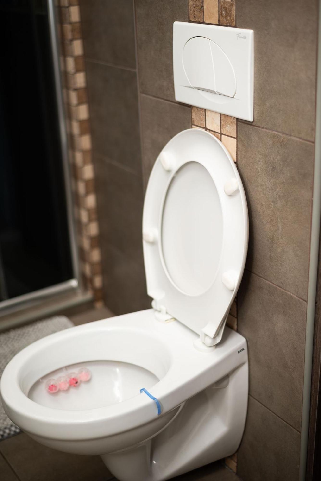 Apartment Primula سوبوتيتْسا المظهر الخارجي الصورة